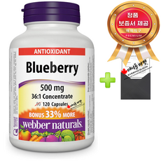 웨버네추럴스 블루베리 36배 농축 분말 500mg 120캡슐+정품보증서 캐나다 직배송, 1개, 120정