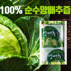 100% 순수 양배추즙, 100개, 100ml