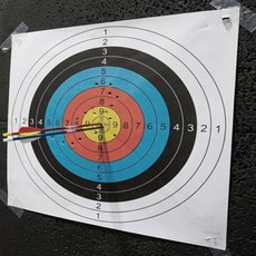 더문샵 양궁 활쏘기 표적지 종이타겟 10p 실내놀이 체육용품 맞추기 취미용품 점수, 50가슴링