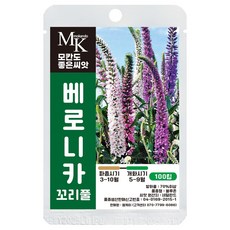 모칸도 좋은씨앗 베로니카 씨앗 꼬리풀 100립 꽃씨 꽃씨앗, 1개