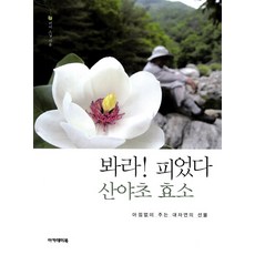 Academybook 看啊! 盛開的山野草酵素： 大自然毫不吝惜的禮物, 如如 著