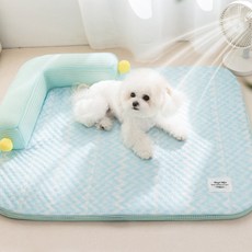 파파펫 반려동물 강아지 고양이 쿨매트 방석 쿨링 쿠션 소형견 중형견 사계절 애견, 1개, 블루그린