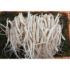 금산인삼 인삼뿌리 삼계탕용 갈비탕용 세척 미삼 뿌리삼 파삼 60-100뿌리, 1개, 500g