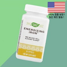 네이처스 웨이 에너자이징 아이언 90 소프트젤 캡슐 Nature's Way Energizing Iron Softgels, 네이처스 웨이 에너자이징 아이언 90 소프트젤 캡슐 N, 1개
