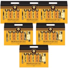 LG생활건강 프로폴리스 선물세트, 6세트