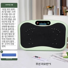 덜덜이 운동기구 털털이 바디슬리머 머신 실내 가정용 쉐이크보드 전신 다이어트 기구 홈트, 프리미엄-그린+충격흡수패드