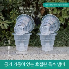 화분 호접란 특수 투명 통기성이 좋은 플라스틱 수경 재배 뿌리 방제 분갈이