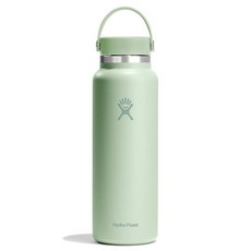 하이드로 플라스크 와이드 플렉스캡 보틀 946ml 아가베 그린 180731, 1.2L(40온스), 알로에