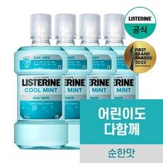 리스테린 쿨민트 마일드 구강청결제, 750ml, 4개