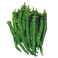 野菜部屋 M26 綠珍長型甜辣椒種子 糯米椒, 1包