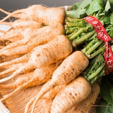 황토밭에서 자란 햇 알타리무, 1개, 3단(약 6kg)