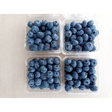 새콤달콤 고당도 프리미엄 생 블루베리, 1개, 250g(특대)18mm