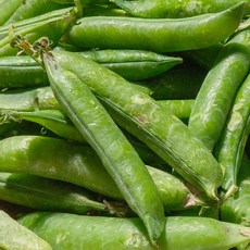 2026 햇 껍질 완두콩, 1박스, 500g