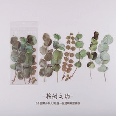 식물 꽃 장식 스티커 잡지 스크랩북 소재, 1개, 1개, 2. 1
