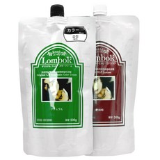 가인 롬복 헤나 트리트먼트 칼라 크림 염색약 새치커버 500ml, 네츄럴브라운, 1개