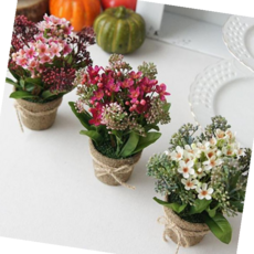 시들지않는꽃 아멜리아 미니 화분 조화 인테리어 소품 인조꽃 1P, 꽃 화이트