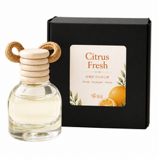 담숲 차량용 방향제 피톤치드 편백 천연오일 디퓨저 걸이형, Citrus Fresh(시트러스 프레시), 1개