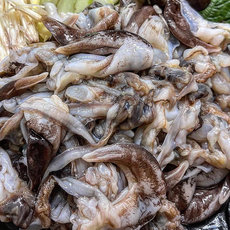 손질 새조개살 3팩, 5개, 300g