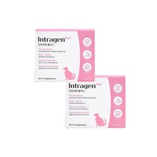 인트라젠 플러스 반려동물 영양제, 60g, 소화+장건강, 2개