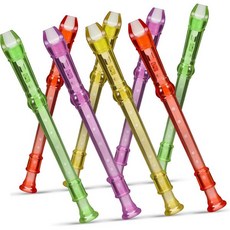 초보자를 가볍고 휴대하기 편리한 투명 플라스틱 플루트 클라리넷 8개 세트 교육용 악기 2128626