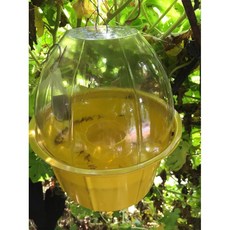樂農農 乾濕兩用誘蟲盒 搭配酵母錠, 1個, 乾濕兩用誘蟲盒 2只