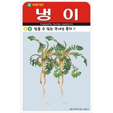 아람씨앗 냉이 씨앗 2만립, 3개