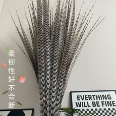 低價爆款 熱賣 孫悟空俏花旦京劇戲曲京戲演出天然野鷄毛超長翎毛雉鷄翎羽長翎子, 80厘米一根