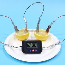 (SA) SA 안전 집게 과일전지(디지털시계 1인)