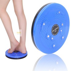 에이치앤엠샵 스트레칭 원판 실내운동기구, 1개