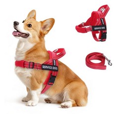 FAYOGOO 소형에서 대형견을 위한 보조견 조끼 조절 가능한 가슴 스트랩이 있는 경량 안내견 하네스 걷기 훈련을 당김 없는 초크 탈출 방지 강아지 하네스, 레드