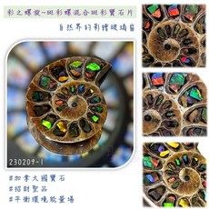 彩之螺旋 斑彩螺混合斑彩寶石片230209-1 天然斑彩寶石Ammolite護符 美甲裝飾 招財助事業, 1個