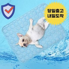 강아지 고양이 쿨매트 패드 쿨방석 여름방석 반려동물 듀라론 반려견 사각 냉감패드, 없음