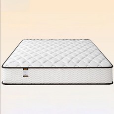 라텍스 학생 어르신 모두 사용 가능한 편안한 허리보호 가족 아파트용 매트리스, 230mm
