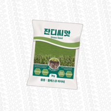 KG 톨훼스큐 잔디 씨앗 3kg, 1개