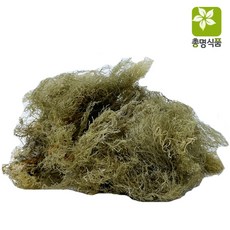 국내산 청 우뭇가사리 200g 우묵 말린 청우뭇가사리, 1개