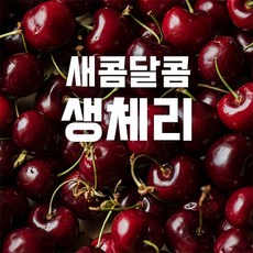항공직송 프리미엄 수입산 생체리 칠레산 호주산 미국산, 1개, 1kg(대)