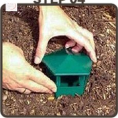 희람라이프 달팽이 집 달팽이키우기, 1