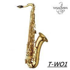 YANAGISAWA 柳澤 T-WO1 次中音薩克斯風 日本製 台灣總代理公司貨, 1個