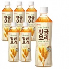 롯데칠성음료 황금보리, 500ml, 6개