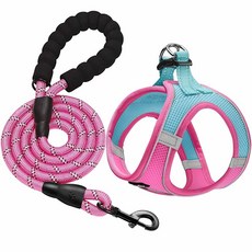 Haapaw 목줄 세트가 있는 강아지 하네스 당김 없는 조절 가능한 반사 스텝인 두꺼운 패딩 조끼 포함 초소형/소형 중형견용, 블루 / 핑크