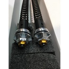 義大利 Andreani SYM MAXSYM TL500專用競技前叉組，提升操控靈敏度與騎乘舒適性, 1個