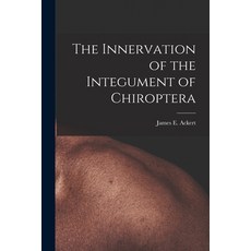 (영문도서) The Innervation of the Integument of Chiroptera Paperback, Legare Street Press, English, 9781015369207