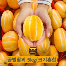[농가직송] 성주 고당도 꿀벌참외 당도선별 가정용 못난이참외, 1개, 5kg 크기혼합