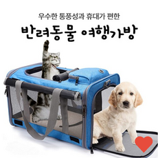 반려동물 강아지 가방 고양이 이동장 산책 기내용, 블루