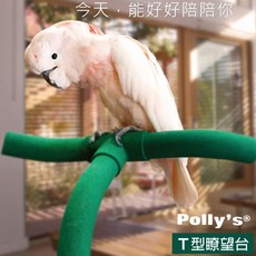 Polly's T型瞭望台, 1個, 小