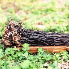 온유네 국산 유기농 햇 고사리 지리산 말린 건고사리, 건고사리 200g[유기농 인증품], 1개