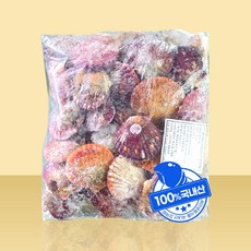 홍가리비 제철 수산물 해산물 냉동 가리비 조개, 1개, 1kg
