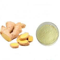 생강추출분말 100g 샘플, 1개, 단품