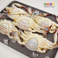 자연가득 프리미엄 인천 연안 활 대암게 1kg 2-4미, 연안 활 소암게 1kg 4-6미