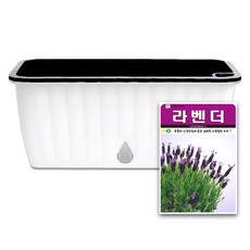 라운드오프 간단한 저면관수 텃밭화분 set, 텃밭화분+라벤더